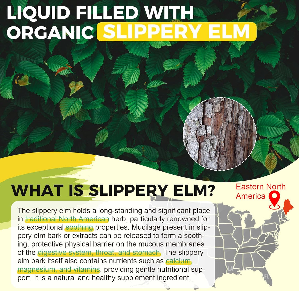 liquid filled with organic slippery elm